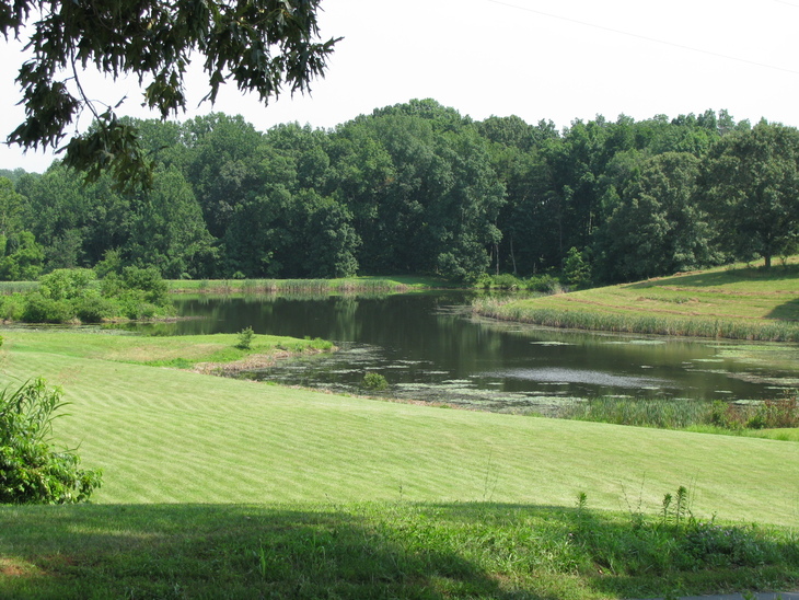 Heron Hawk Training Grounds picture 2