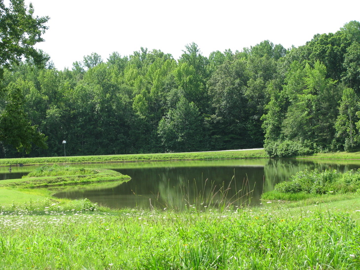 Heron Hawk Training Grounds picture 3