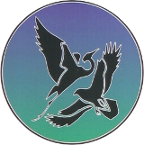 Heron Hawk Retrievers